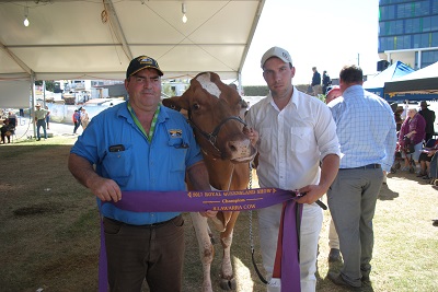 Ekka 2017 Champion Cow pres 2 LR
