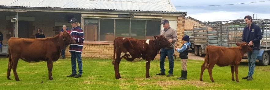 20220613 115031 Juvenile Champion on right Rsv Champ in centre. Shrunk for website