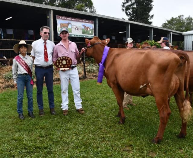 Intermediate Champion Malanda Show Casade Pearl