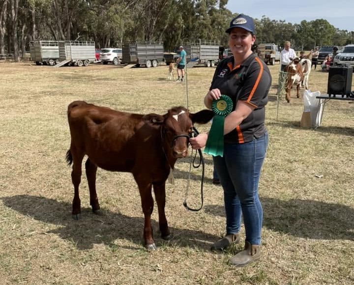 Reserve Junior Champion