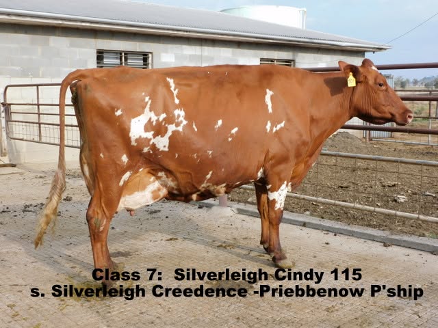 2024 qld ofc best udder