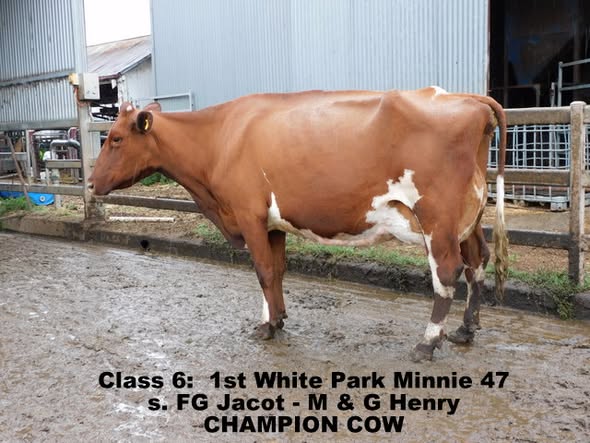 2024 qld ofc champ