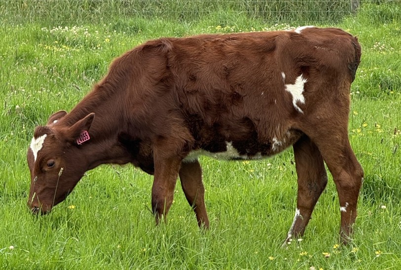 8 b 2 w