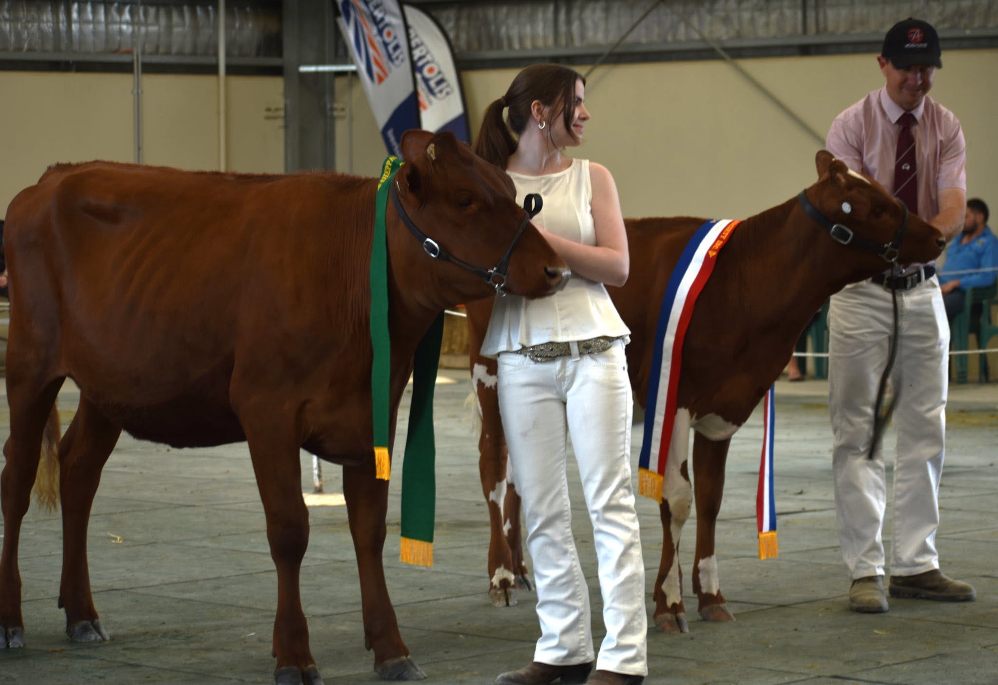 SS Champ Junior Heifer