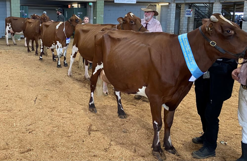 TS Exhibitors Group  M  G Henry