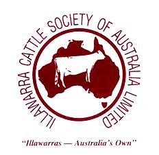 Illawarras Australia